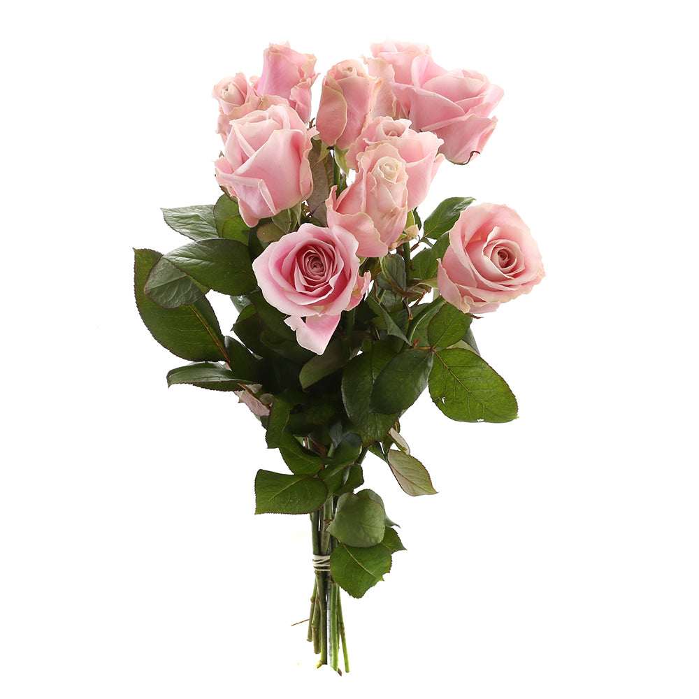 Roos Pink Avalanche Small (10 stuks)