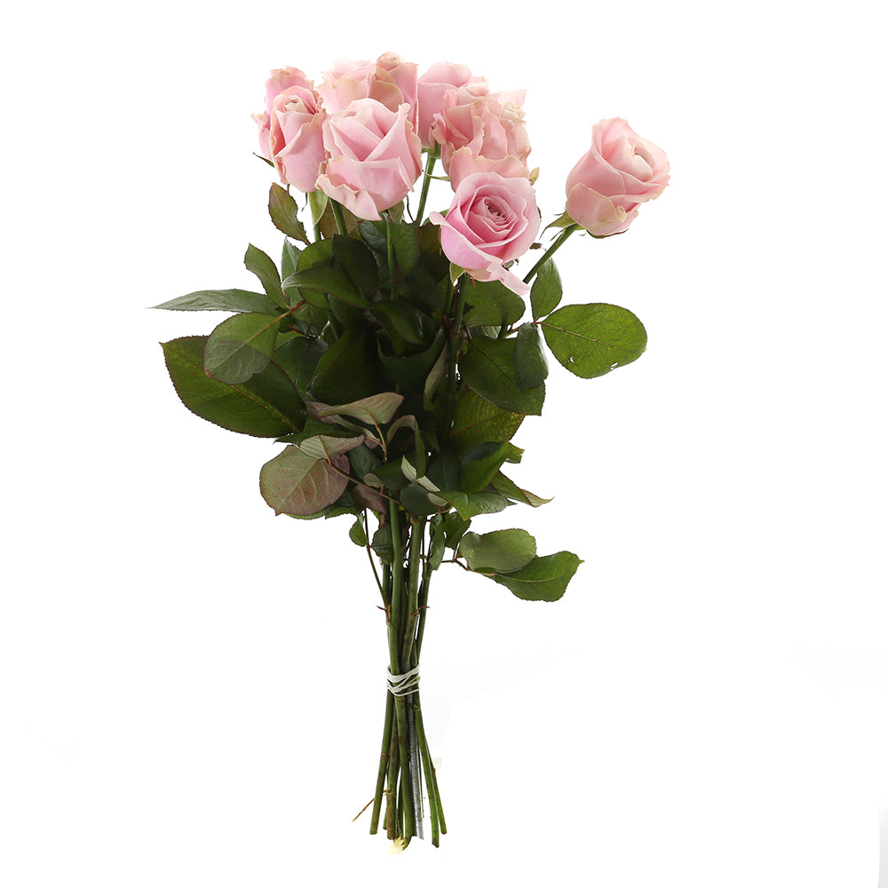 Roos Pink Avalanche Small (10 stuks)