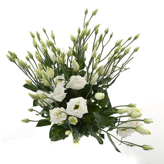 Lisianthus