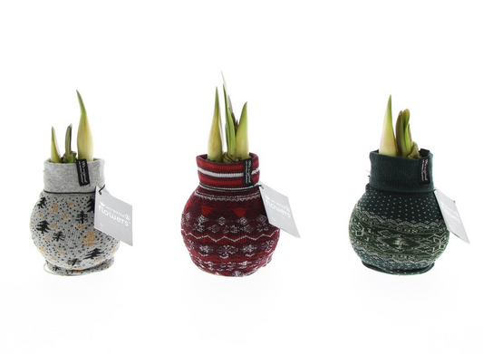 No Water Flowers Fashionz Nordic