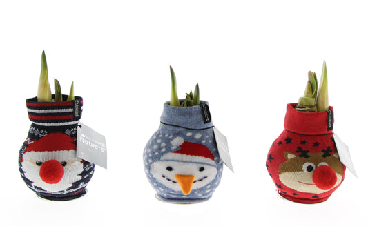 No Water Flowers Fashionz Xmas